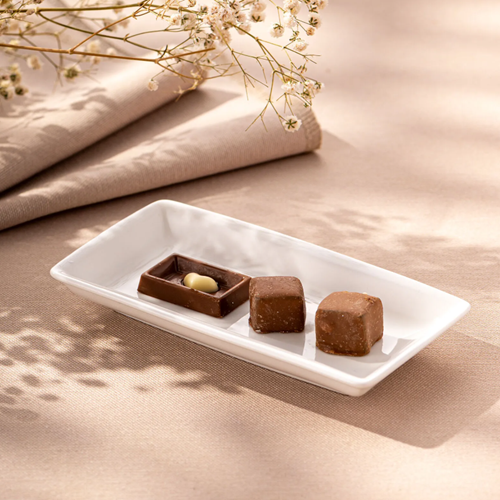 EMS PAMUKKALE DİKDÖRTGEN KAYIK, 14 CM